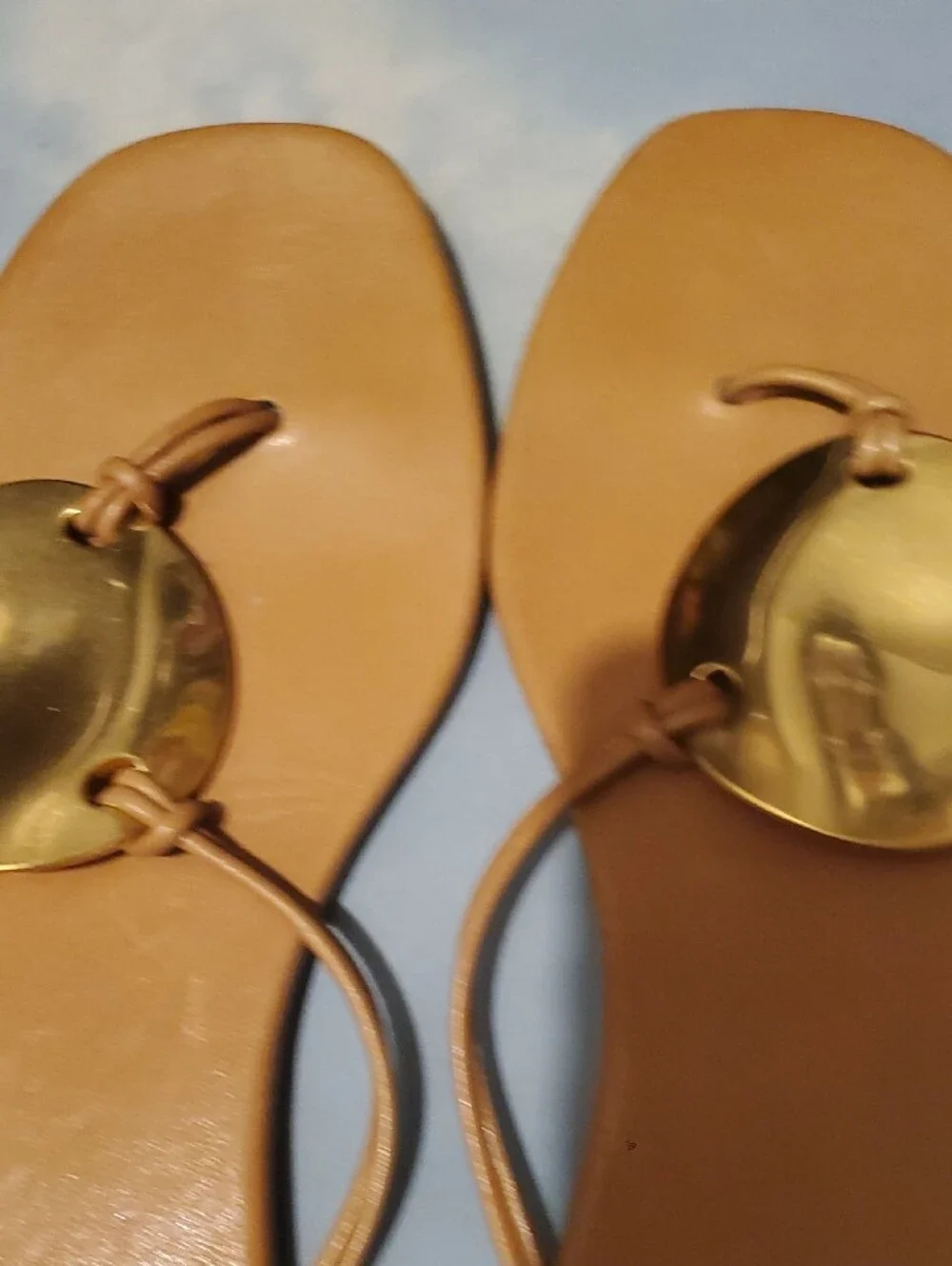 Tory Burch sleek cognac